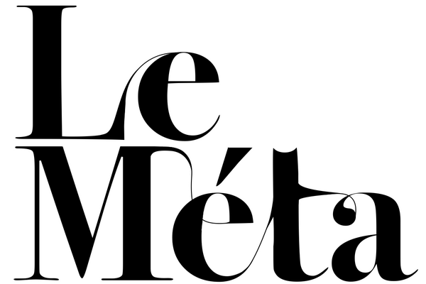 site meta-logo_-_copie