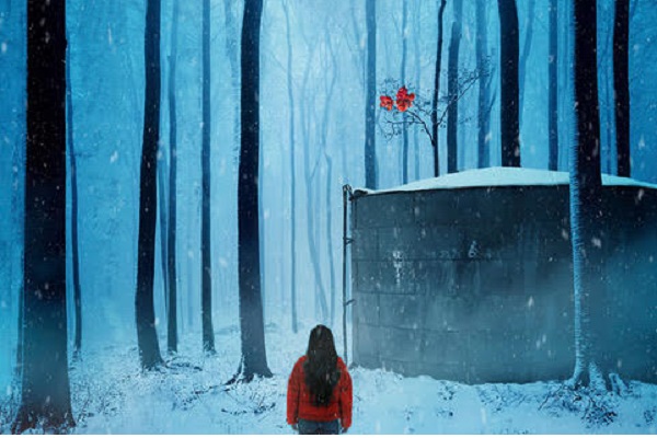 SITE Visuel_Neige_Aude_Charlier(credit)