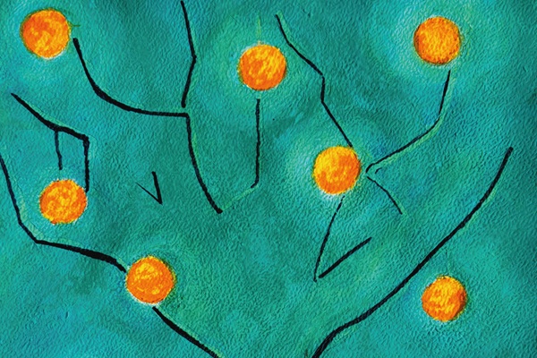 SITE Visuel Alif @ Souad Sefsaf - paysage