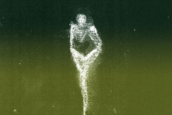 SITE enquête de famille